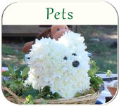 pet ceremonies