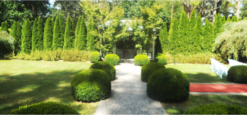 Access Civil Ceremonies Celebrant Dandenong Melbourne Access Civil Ceremonies Celebrant Dandenong Melbourne