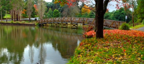 Access Civil Ceremonies Celebrant Emerald Melbourne
